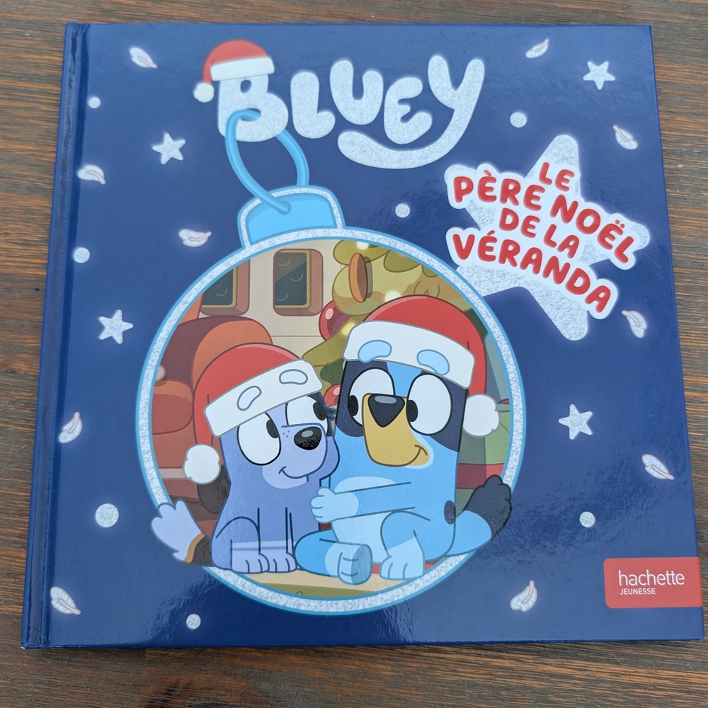 Hachette Blue Holiday Snow Globe Illustration